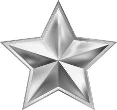 Silver Reward